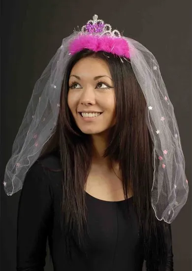 Bride to Be Hot Pink Tiara with Veil