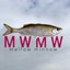Mellow Minnow