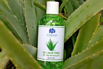 98 aloe vera