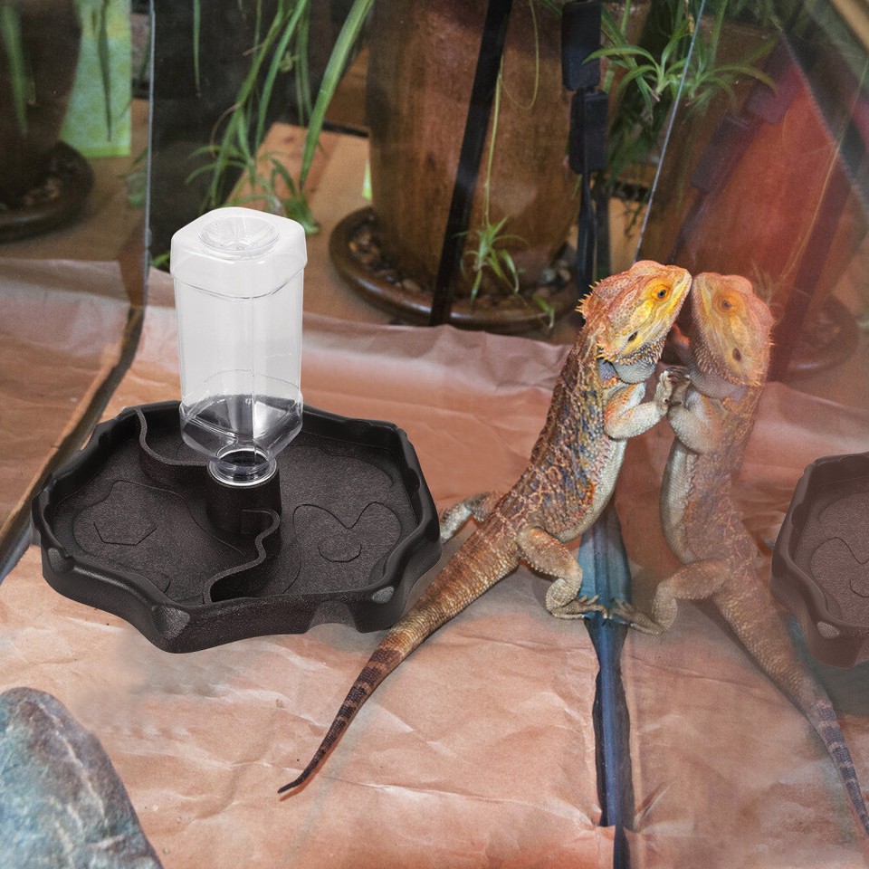 Water Bowl for Reptiles Turtle Food Drinking Animal Pet Dispenser eBay