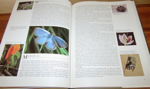 CLOSE to NATURE: Naturalist's Diary Year In Bush ~ John LANDY Kosciuszko in MELB - Picture 12 of 16