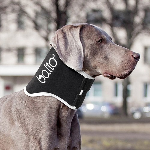 Balto Dog nolick Neck Brace BTNECKECO eBay