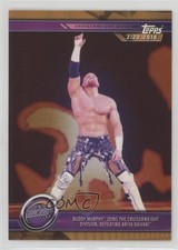 2019 Topps WWE Road to Wrestlemania Bronze Buddy Murphy #49 9aj