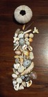 lot of HAWAIIAN SEA SHELLS and shell FRAGMENTS — photo 1