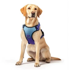 No Pull Dog Harness, Reflective Adjustable Dog Vest with Front/Back Clip Easy...