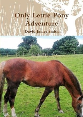 Only Lettie Pony Adventure by David James Smith (English) Paperback Book
