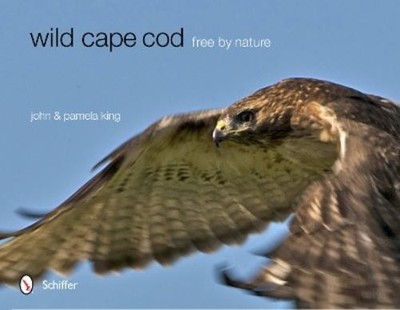 John & Pamela King Wild Cape Cod (Gebundene Ausgabe)