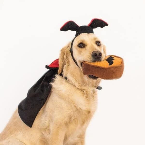 ZIPPY PAWS Halloween Costume Kit Dracula Costume for Dogs One Size Fits All eBay