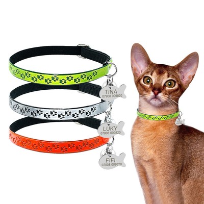 cats and collars