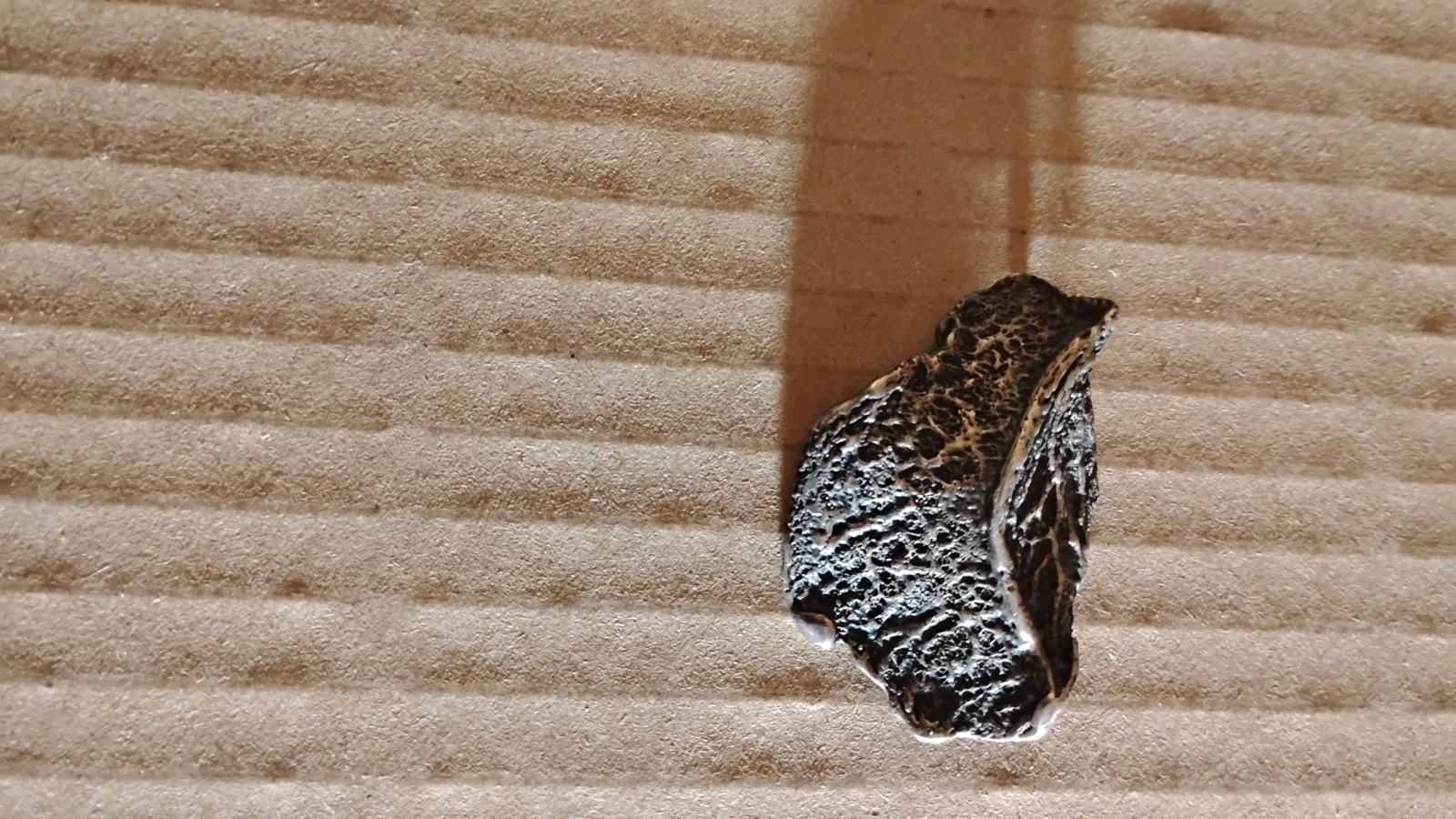 sterling silver leaf designed brooch signed - image 4