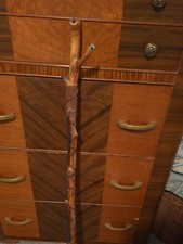 walking stick