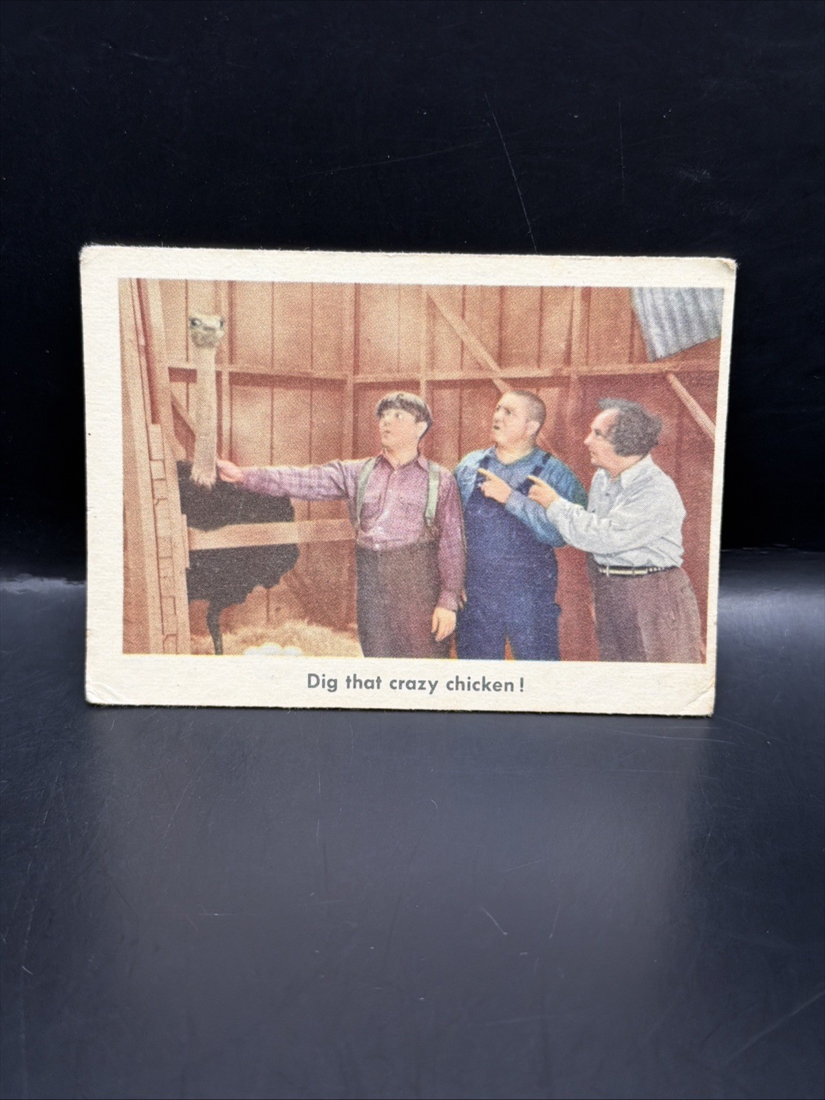 1959 Fleer Three Stooges #45 Dig that Crazy Chicken! Trading Card
