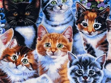 By 1/2 Yd Kittens Cats Allover by Jenny Newland David Textiles Cotton Fabric