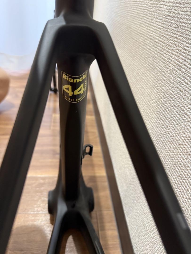 Bianchi Aria Disc 2020 44 Size | eBay