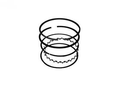 Rotary Brand Replacement Ring Piston Set (Std) Fits B&S 10755