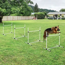 Dog Agility Jumping Training Equipment Obstacle Course Set Outdoor Jump Bar