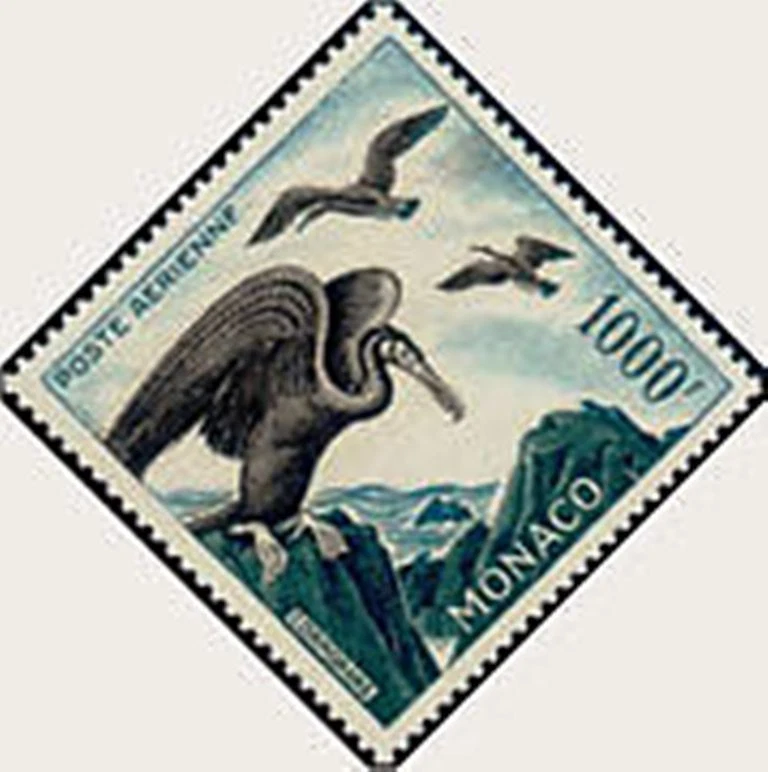 Mónaco Correo Aérea Yvert N º 68" Pájaros de Mar Comorans 1000F" Nueva Xx - Imagen 1 de 1