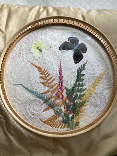 Pressed Ferns & Butterflies Under Glass Serving Or Dresser Tray Wooden Setting