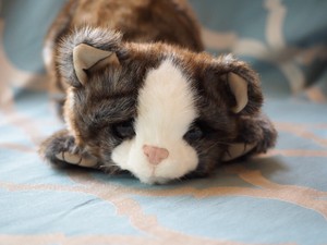 Details About Folkmanis Scottish Fold Kitten Hand Puppet Plush Pre Owned