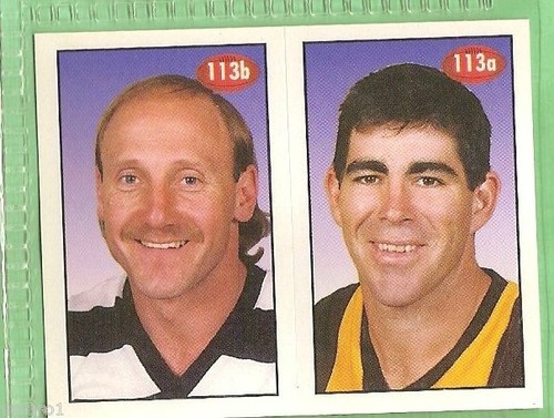 1996 AFL SELECT STICKER #113 DARREN JARMAN & GARY ABLETT, ALL AUSTRALIAN TEAM