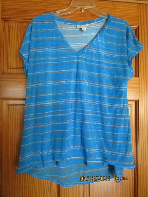 Women's Dana Buchman Blue Striped Cap Sleeve V-Neck Lined Top - SIZE L