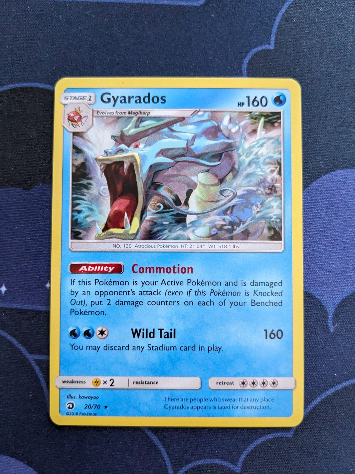 Gyarados 20/70 Pokemon Card Holo Rare Dragon Majesty TCG Pokemon Trading Card NM