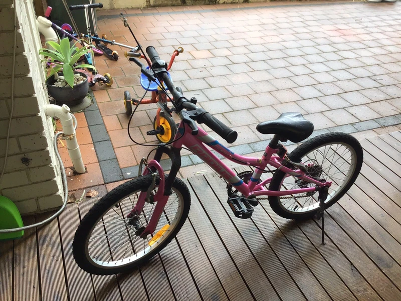 gumtree 20 inch bike