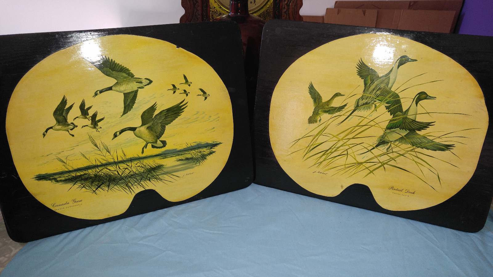 Picture 1 of 7