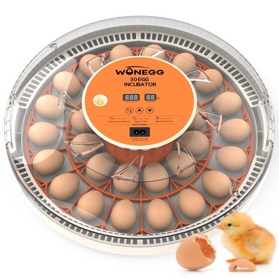 Wonegg Incubators For Hatching Eggs Automatic Egg Turning Auto Temperature
