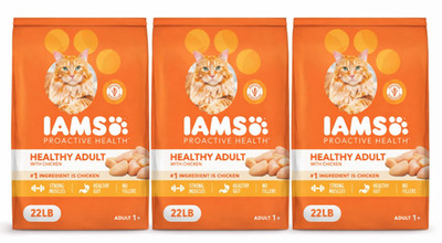 IAMS Proactive Health Indoor Adult Dry Cat Food Chicken 22 lb 3 Pack