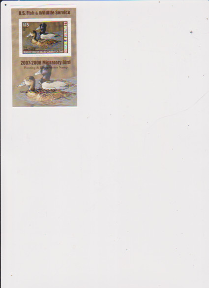 U.S., 2007, Scott #RW74b, $15.00 Ring Necked Duck