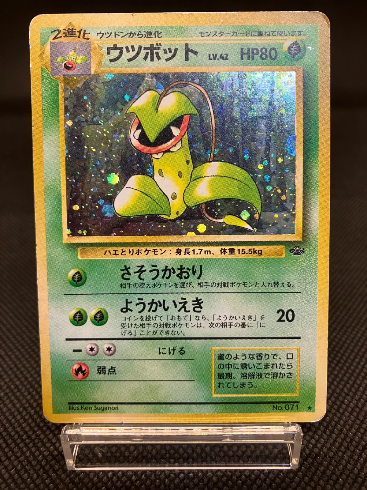 Nintendo Holo Rare NO.071 LV.42 HP80 TCG F/S  Victreebel Japanese Pokemon Card