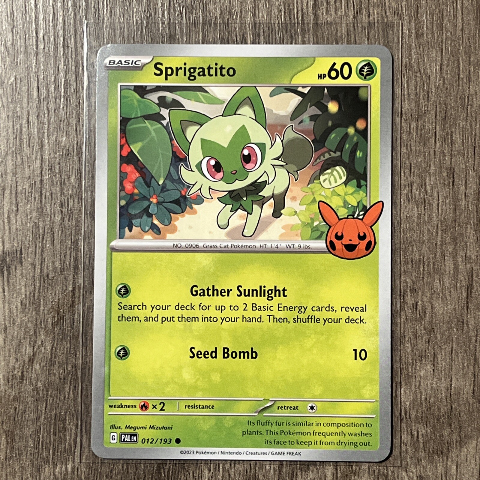 Pokémon TCG Halloween Trick Or Trade 2024 Sprigatito #12/193 Regular Common