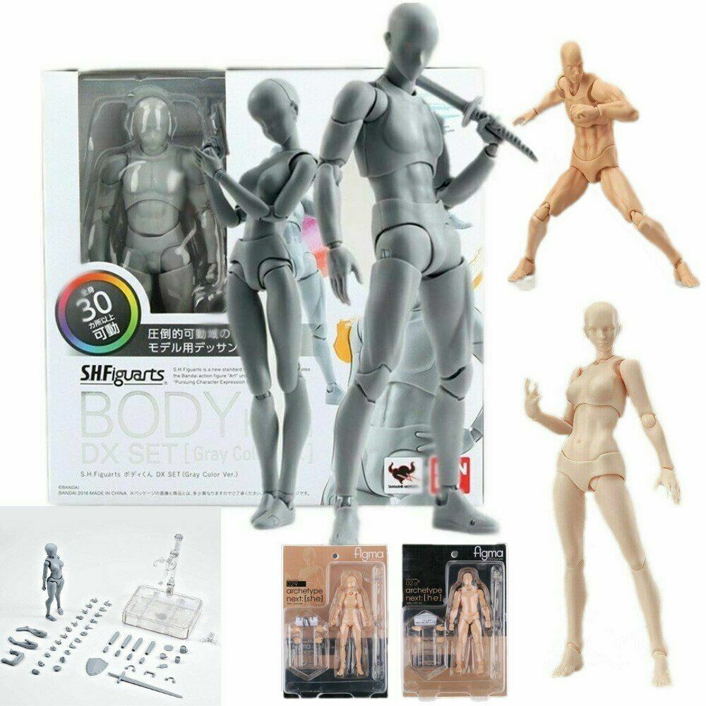 Figma She/he S.H.Figuarts SHF Body kun DX SET PVC Body-Chan Figma She/he S.H.Figuarts SHF Body kun DX SET PVC Body-Chan