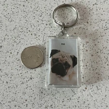 Pug Cute Puppy Dog Keychain Key Ring #46111