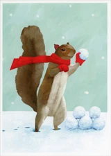 Snowball Fight Squirrel Box of 12 Funny / Humorous Christmas Cards