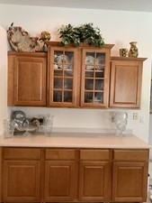 kitchen Cabinets and Corian Countertop