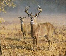 DEER BUCK AND DOE IN FIELD 1 IMAGE  COMPUTER MOUSE PAD 9 X 7
