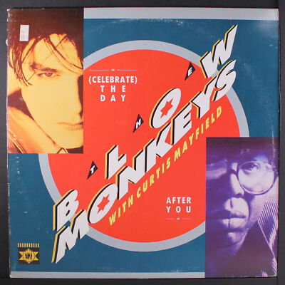 BLOW MONKEYS: (celebrate) the day after you RCA 12'' Single 33 RPM