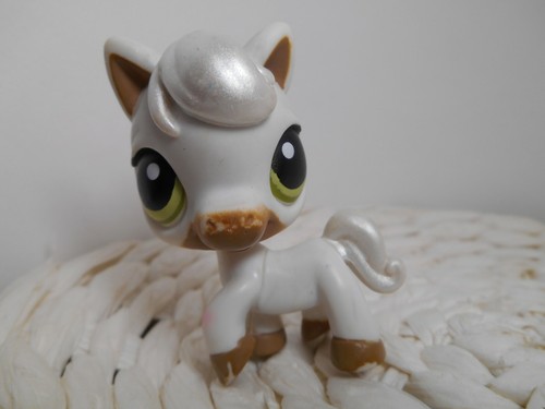 LPS Littlest petshop pet shop chien chat européen dogue colley cat dog rare - Imagen 59 de 76
