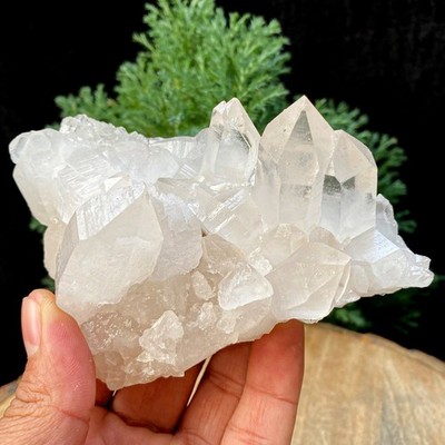 Natural Himalayan White Quartz Rohstein 0.84lb Heilmineralien