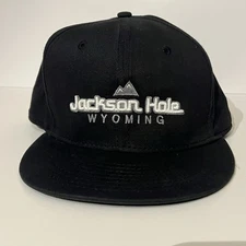 Jackson Hole Wyoming Snapback Trucker Hat Cap New Era Flat Brim Black