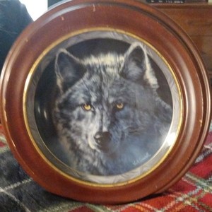Moon Shadows Wolf Porcelain Collector Plate by Vivi K. Crandall