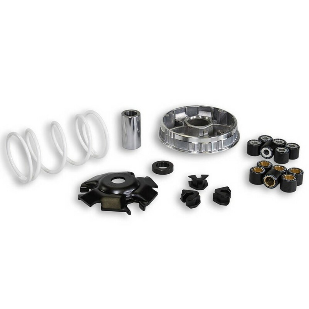 Free Shipping Malossi Multivar Variator 2000 Piaggio 125/150 5111258 Moto