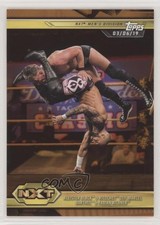 2019 WWE NXT Bronze Aleister Black Ricochet Marcel Barthel Fabian Aichner 09j5