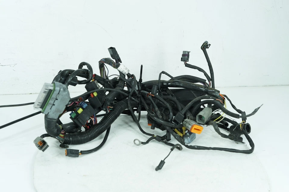 Harley Softail 2001 FXSTDI Deuce OEM cableado principal arnés telar EFI 70216-01 Foto 3 de 4