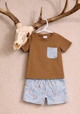 Boys Brown T-Shirt  Blue Animal Print Shorts Set, Summer Outfit, 2 Piece