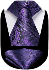 Ties for Men Paisley Tie and Pocket Square Woven Classic Floral Mens Ties Handke