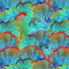 Michael Miller Fabrics~ Jewels of The Sea~Magnificent Coral~Azure~BTY, DCX11122