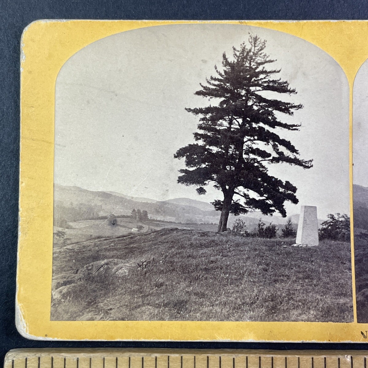 Eternity 「lose sight of...」 Mutavault · Edge of Eternities: Stellar Sights (EOS) #28